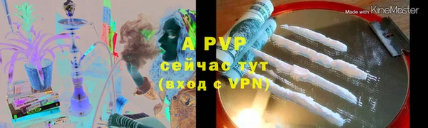 твердый Новокубанск