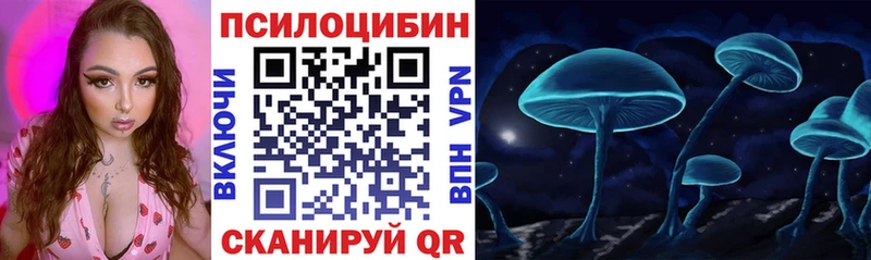 купить наркотики цена Сухой Лог Галлюциногенные грибы Psilocybine cubensis