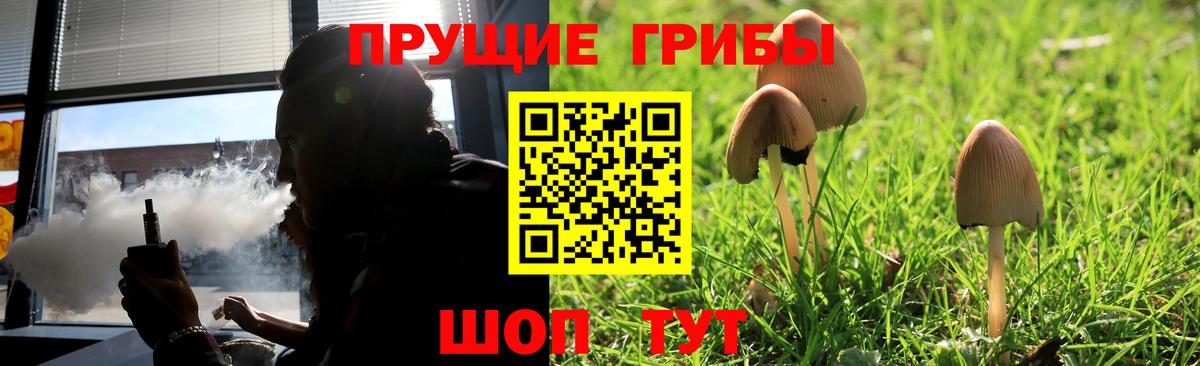 Псилоцибиновые грибы мицелий Сухой Лог